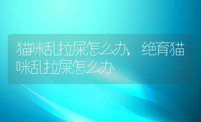 猫咪乱拉屎怎么办,绝育猫咪乱拉屎怎么办 | 养殖科普