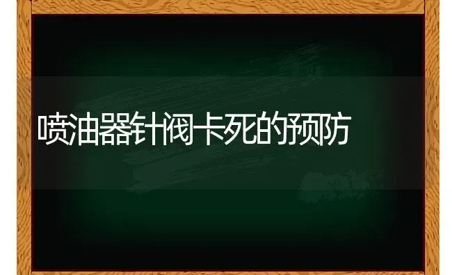 喷油器针阀卡死的预防 | 养殖技术大全