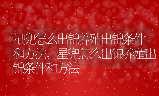 星兜怎么出锦养殖出锦条件和方法,星兜怎么出锦养殖出锦条件和方法 | 养殖科普