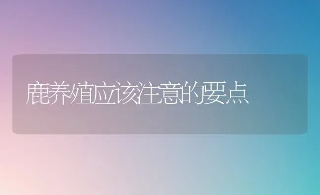 鹿养殖应该注意的要点 | 养殖技术大全