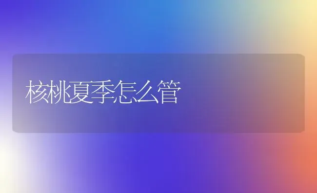 核桃夏季怎么管 | 养殖技术大全