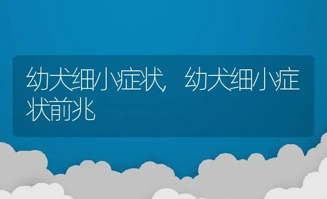 幼犬细小症状,幼犬细小症状前兆 | 养殖资料