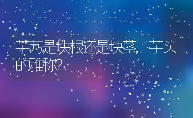 芋艿是块根还是块茎,芋头的雅称？ | 养殖科普