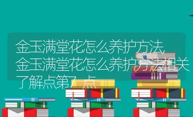 金玉满堂花怎么养护方法,金玉满堂花怎么养护方法相关了解点第7点 | 养殖科普