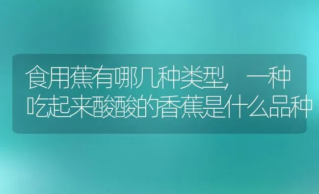 食用蕉有哪几种类型,一种吃起来酸酸的香蕉是什么品种 | 养殖学堂