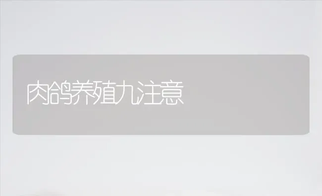 肉鸽养殖九注意 | 养殖知识