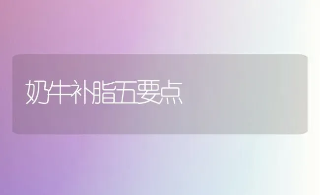 奶牛补脂五要点 | 养殖知识