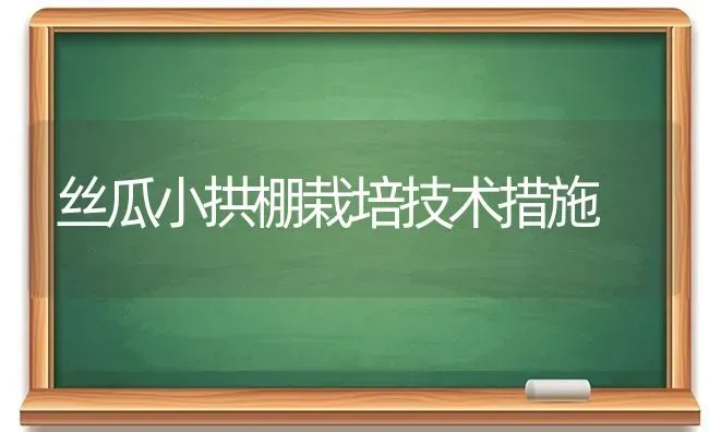 丝瓜小拱棚栽培技术措施 | 养殖技术大全