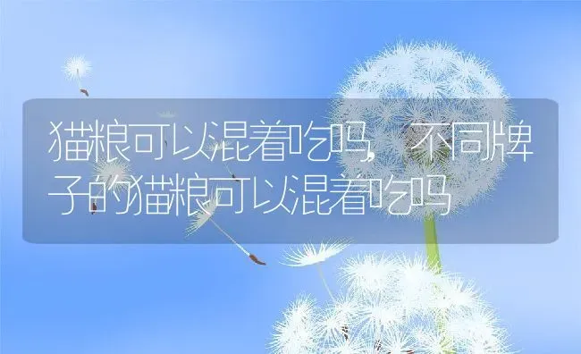 猫粮可以混着吃吗,不同牌子的猫粮可以混着吃吗 | 养殖学堂