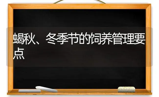 蝎秋、冬季节的饲养管理要点 | 养殖知识