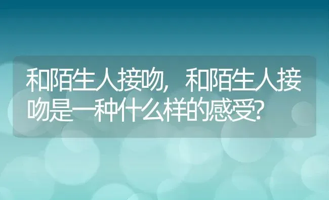 和陌生人接吻,和陌生人接吻是一种什么样的感受? | 养殖科普