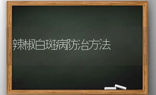 辣椒白斑病防治方法 | 养殖知识