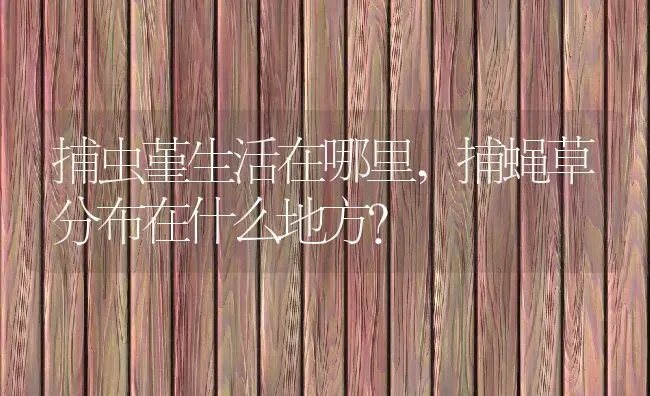 捕虫堇生活在哪里,捕蝇草分布在什么地方？ | 养殖科普