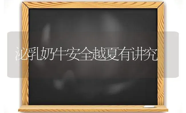 泌乳奶牛安全越夏有讲究 | 养殖技术大全