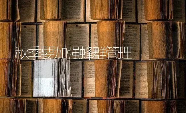 秋季要加强蜂群管理 | 养殖技术大全