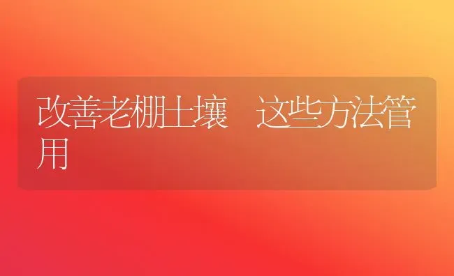 改善老棚土壤 这些方法管用 | 养殖技术大全