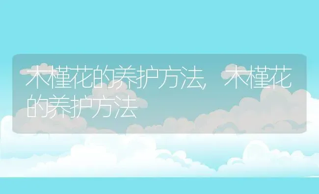 木槿花的养护方法,木槿花的养护方法 | 养殖科普
