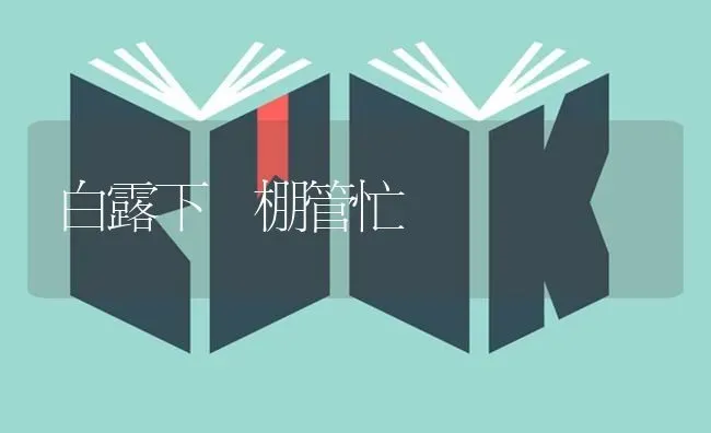 白露下 棚管忙 | 养殖技术大全