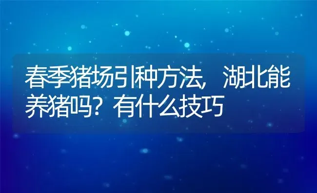 春季猪场引种方法,湖北能养猪吗？有什么技巧 | 养殖学堂