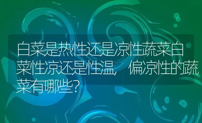 白菜是热性还是凉性蔬菜白菜性凉还是性温,偏凉性的蔬菜有哪些？ | 养殖科普