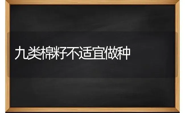 九类棉籽不适宜做种 | 养殖知识