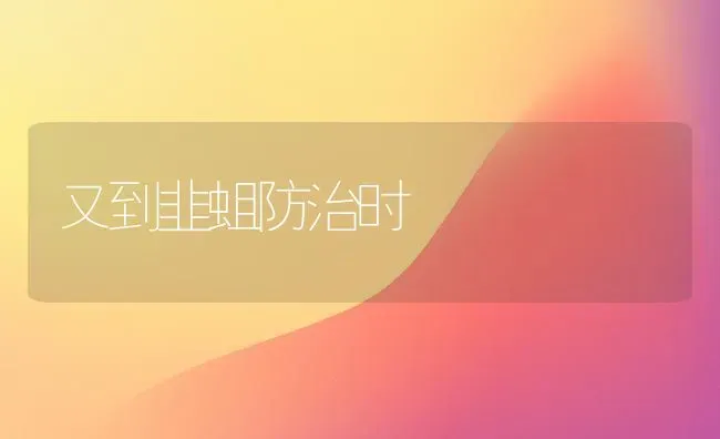 又到韭蛆防治时 | 养殖技术大全