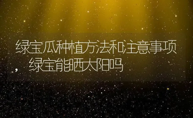 绿宝瓜种植方法和注意事项,绿宝能晒太阳吗 | 养殖学堂