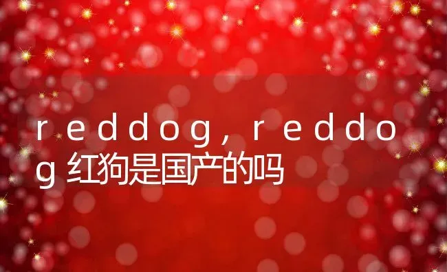 reddog,reddog红狗是国产的吗 | 养殖资料