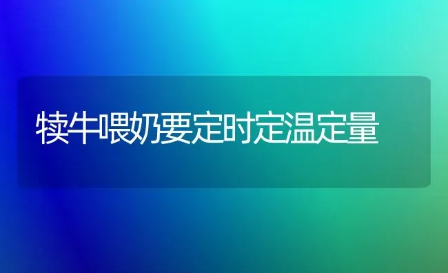 犊牛喂奶要定时定温定量 | 养殖知识