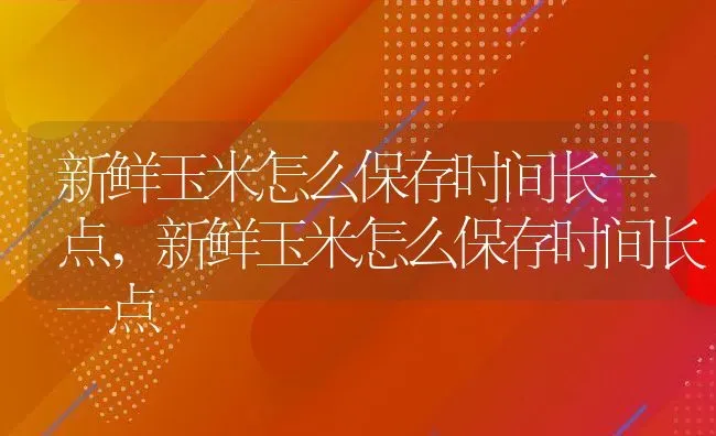 新鲜玉米怎么保存时间长一点,新鲜玉米怎么保存时间长一点 | 养殖学堂