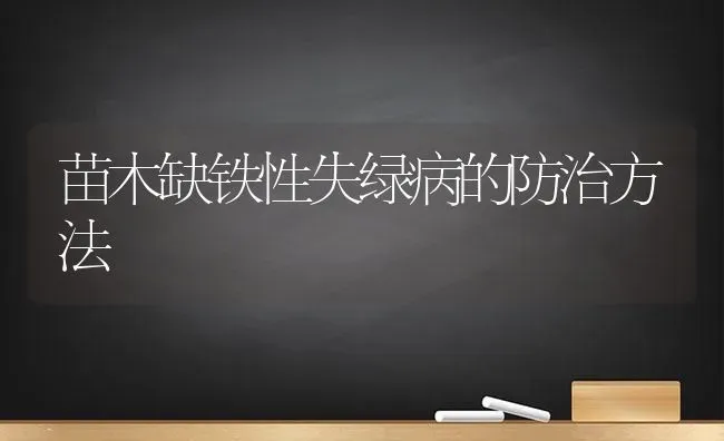 苗木缺铁性失绿病的防治方法 | 养殖技术大全