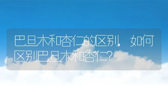 巴旦木和杏仁的区别,如何区别巴旦木和杏仁？ | 养殖科普