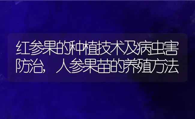 红参果的种植技术及病虫害防治,人参果苗的养殖方法 | 养殖学堂