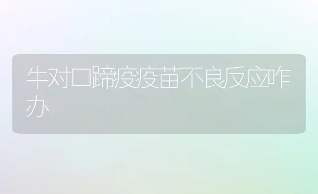 牛对口蹄疫疫苗不良反应咋办 | 养殖知识