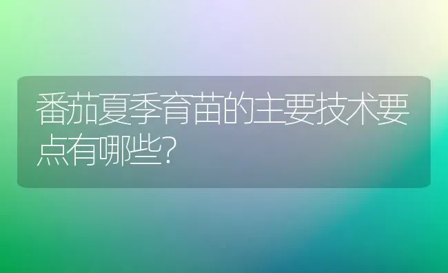 番茄夏季育苗的主要技术要点有哪些? | 养殖技术大全