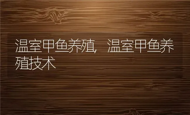 温室甲鱼养殖,温室甲鱼养殖技术 | 养殖资料