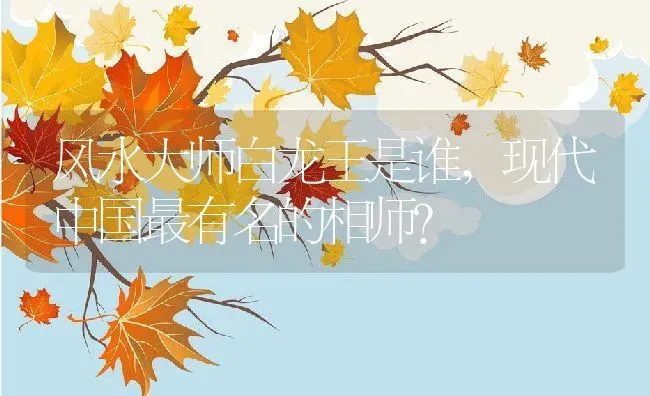米兰花是什么,米兰色是什么颜色？ | 养殖科普