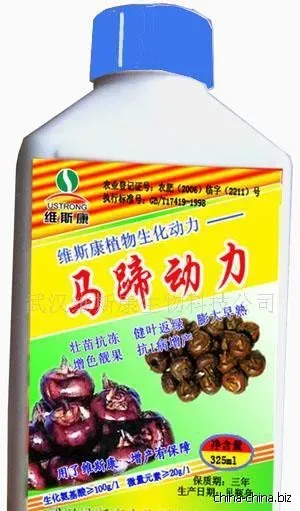 马蹄用什么肥料最大个,马蹄什么时候施钾肥最好？