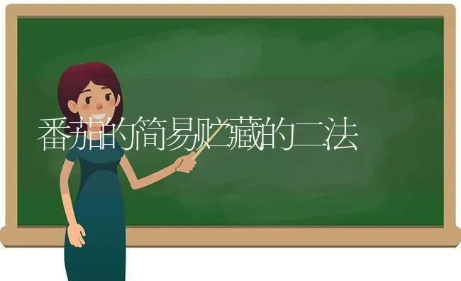 番茄的简易贮藏的二法 | 养殖知识