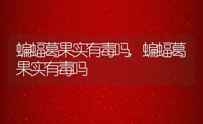 蝙蝠葛果实有毒吗,蝙蝠葛果实有毒吗 | 养殖科普