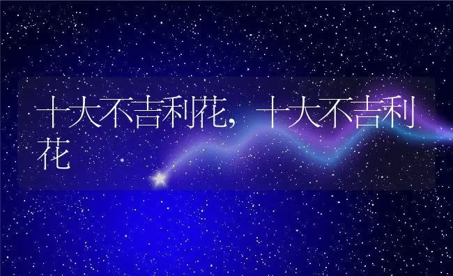 十大不吉利花,十大不吉利花 | 养殖科普