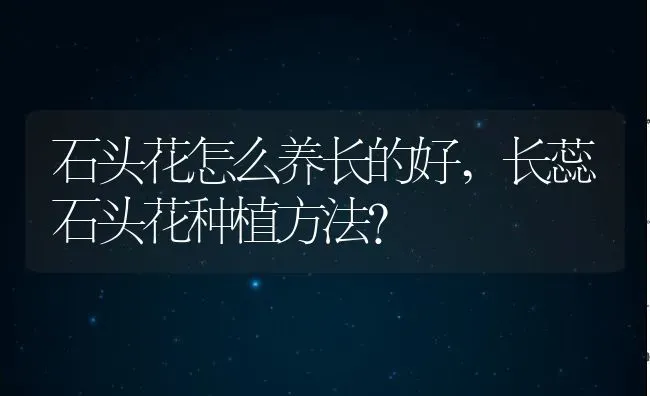 石头花怎么养长的好,长蕊石头花种植方法？ | 养殖科普