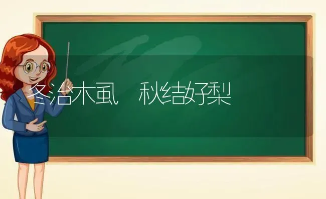 冬治木虱 秋结好梨 | 养殖技术大全