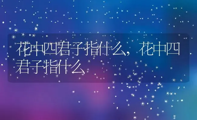 花中四君子指什么,花中四君子指什么 | 养殖科普