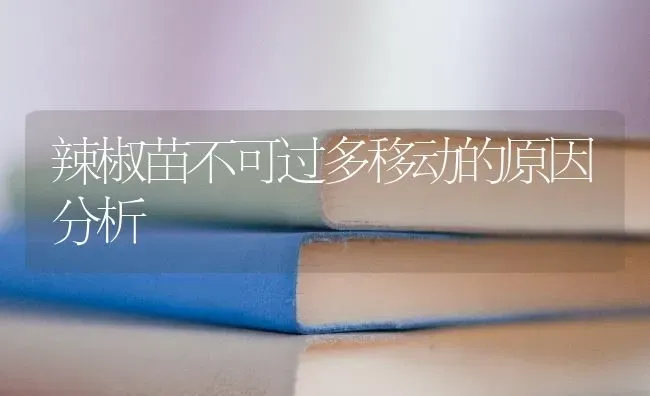 辣椒苗不可过多移动的原因分析 | 养殖知识