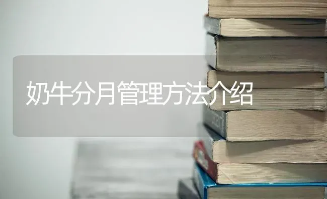 奶牛分月管理方法介绍 | 养殖知识