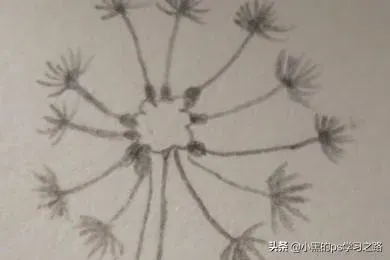 蒲公英怎么画,蒲公英的简笔画？