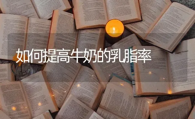 如何提高牛奶的乳脂率 | 养殖技术大全