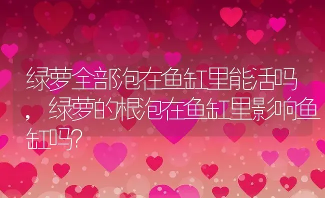 绿萝全部泡在鱼缸里能活吗,绿萝的根泡在鱼缸里影响鱼缸吗？ | 养殖学堂