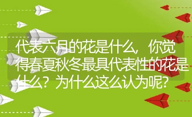 代表六月的花是什么,你觉得春夏秋冬最具代表性的花是什么？为什么这么认为呢？ | 养殖科普